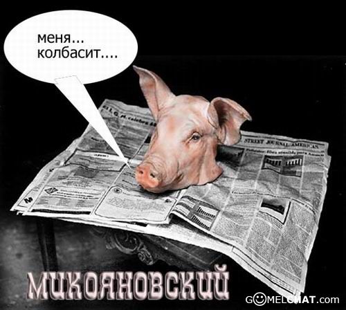 колбасит колбаса. колбасит. колбасит приколы. бочка бас колбасит соло. бочка бас колбасер колбасер по пояс голы.