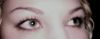 stels