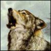 wolfr@m