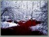 cradle.of.filth