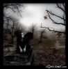 cradle.of.filth