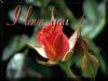 hramoy-ml