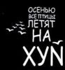 odino4ka