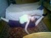 dasha_@