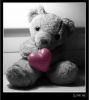 trixi