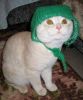 ermac