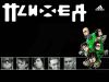 tyfti