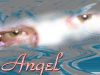 skynet16~angel