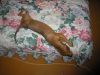 n@vigator