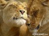 hasteh_@