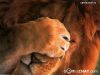 hasteh_@