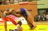 wrestler