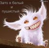 cheshir)