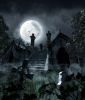 silence_night