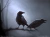 silence_night