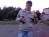 stifler