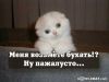 milk@