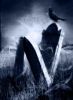 blackcrow