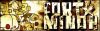 fort_minor!
