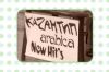 kazzzan
