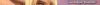 the_