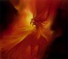 phoenix_m
