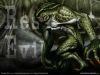 disturbed