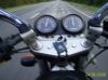 elvis-biker