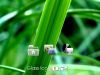 userbar