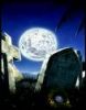 sleep