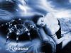 koshechk@