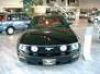 mustanggirl