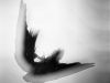 no_angel