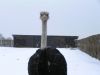 morowind