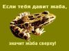 shater_jouck