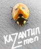 z-men