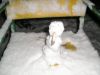 betep_wind