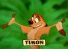 timon)