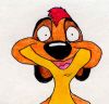 timon)