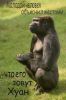 vredin@