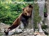 vredin@