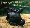 vredin@