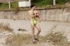 borat