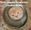hom@