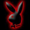 playboy@
