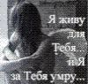 к@тюх@