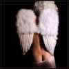 angel-forevo