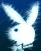 4ivas_ml