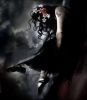 absconderinnight