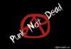 punk_rulez